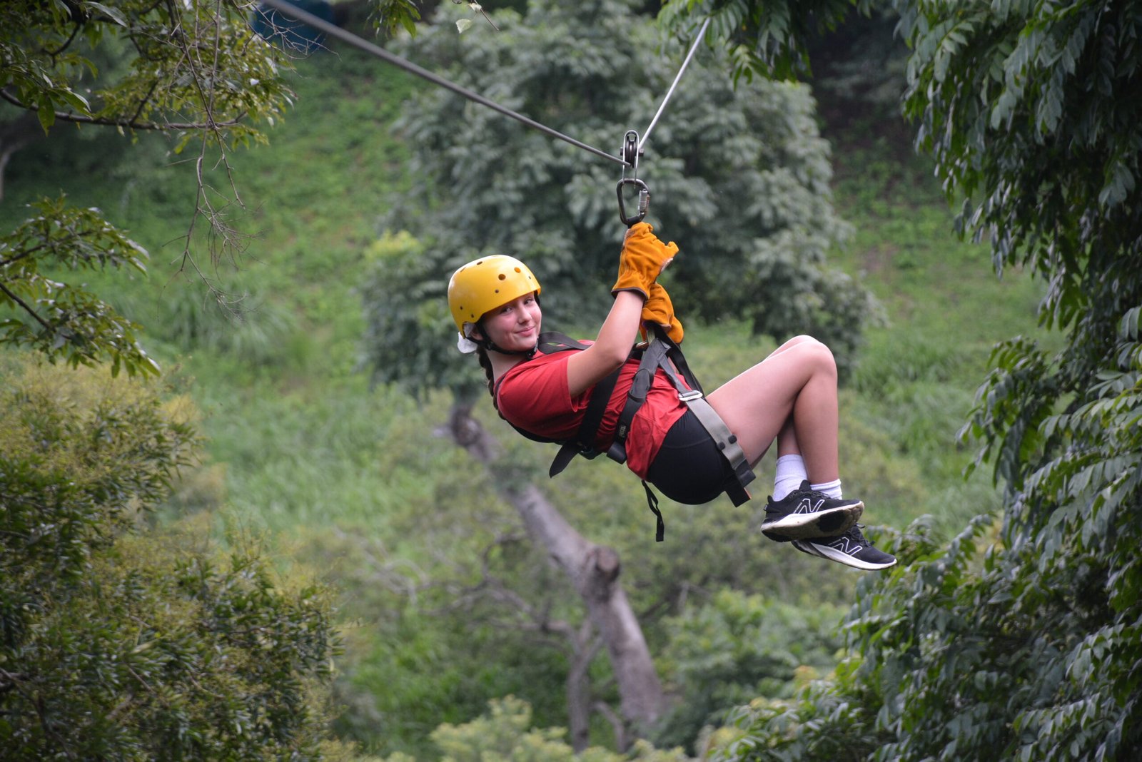 Zipline platforms and forest views