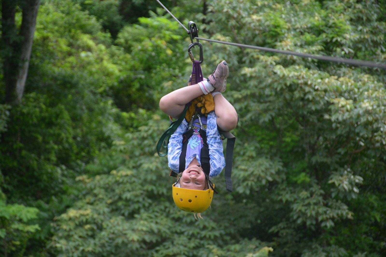 Zipline adventure in Guanacaste